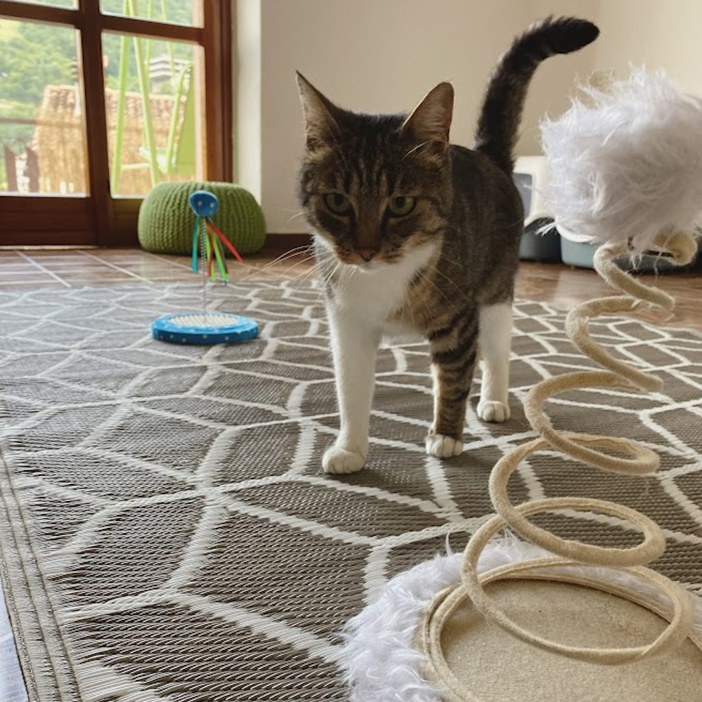 Nala